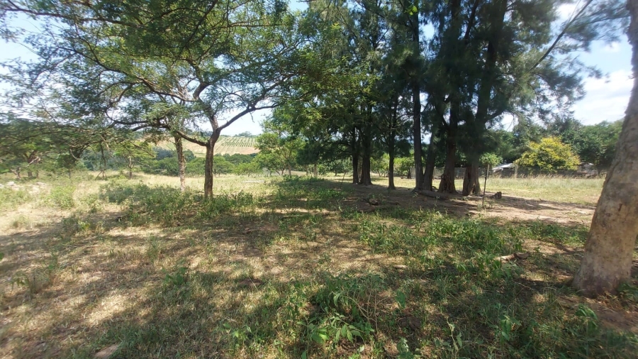 Commercial Property for Sale in Barberton Rural Mpumalanga