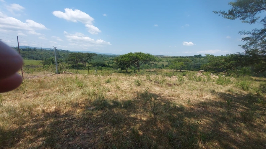 Commercial Property for Sale in Barberton Rural Mpumalanga