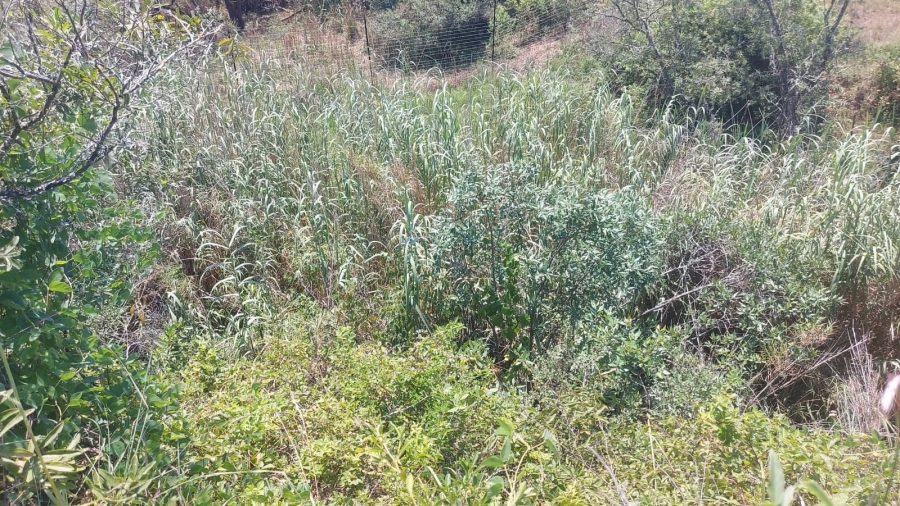 Commercial Property for Sale in Barberton Rural Mpumalanga