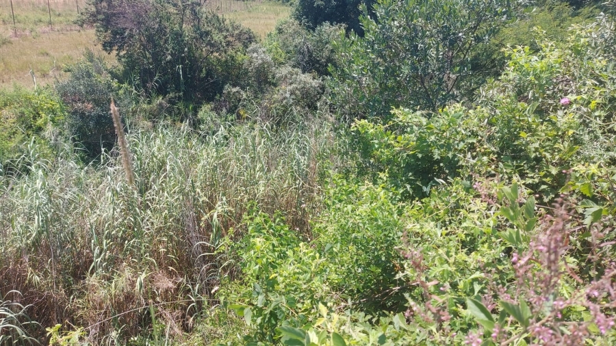 Commercial Property for Sale in Barberton Rural Mpumalanga