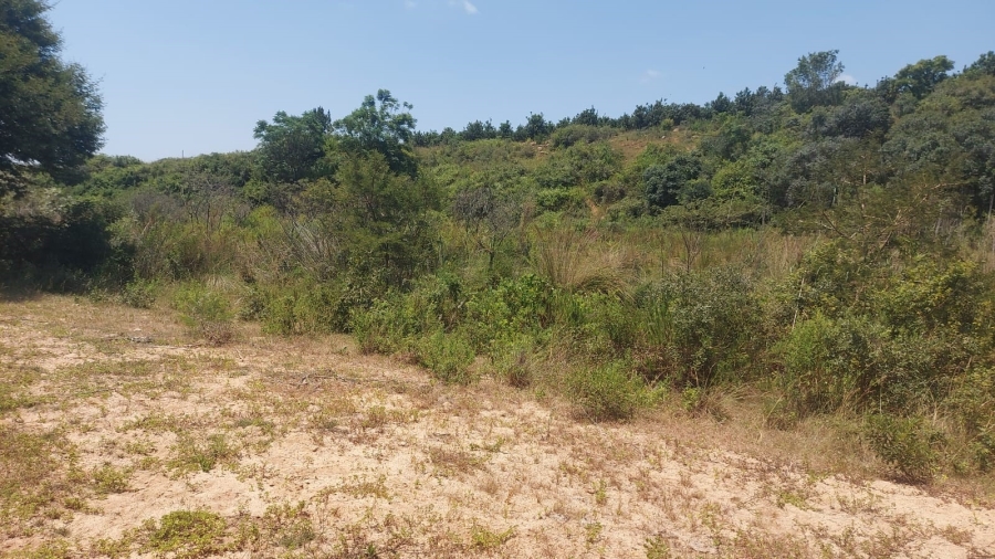 Commercial Property for Sale in Barberton Rural Mpumalanga