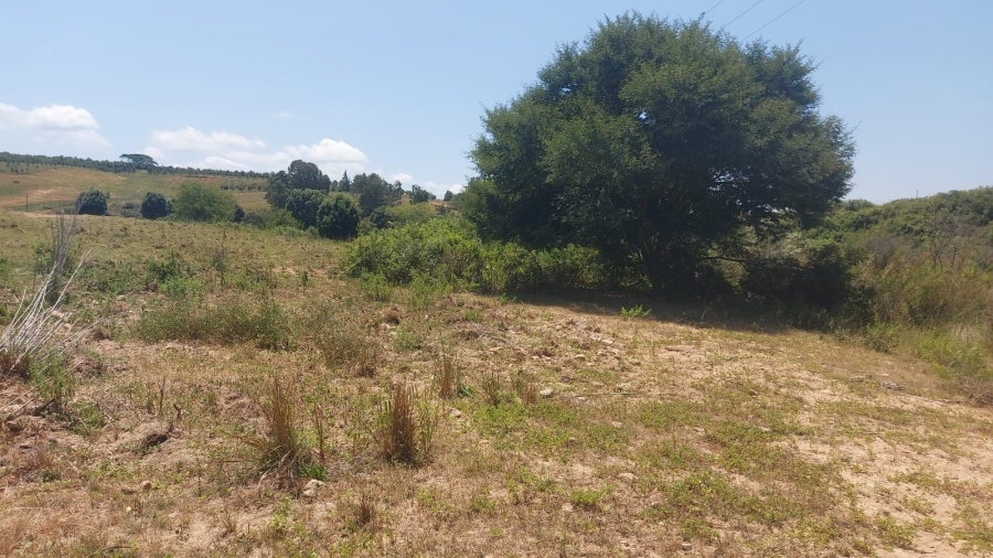 Commercial Property for Sale in Barberton Rural Mpumalanga