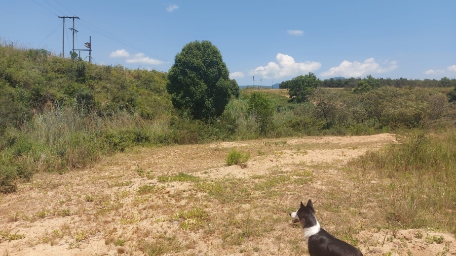 Commercial Property for Sale in Barberton Rural Mpumalanga