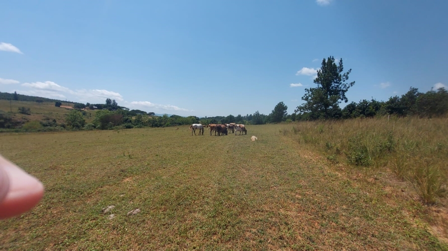 Commercial Property for Sale in Barberton Rural Mpumalanga