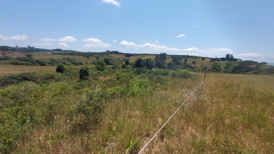 Commercial Property for Sale in Barberton Rural Mpumalanga