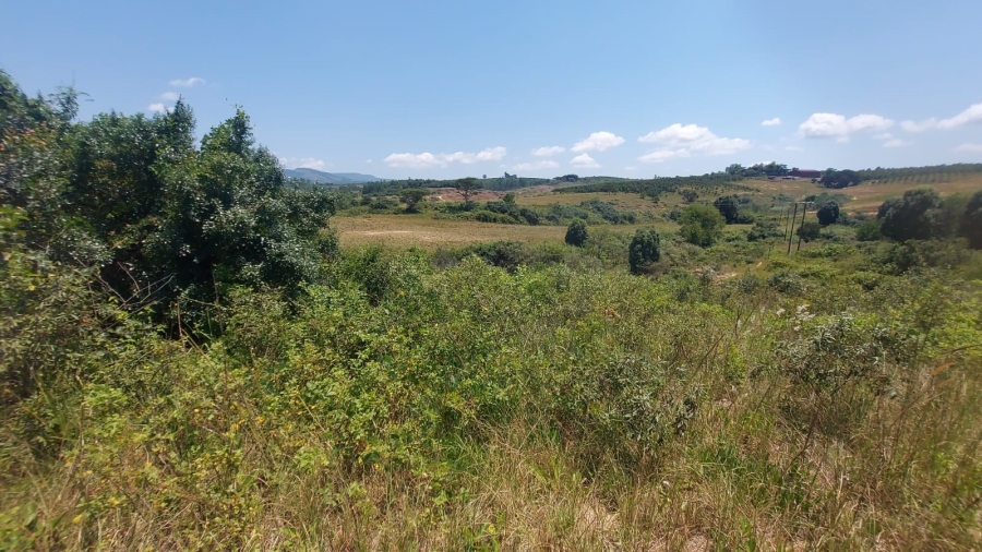 Commercial Property for Sale in Barberton Rural Mpumalanga