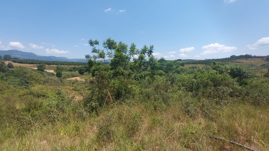 Commercial Property for Sale in Barberton Rural Mpumalanga