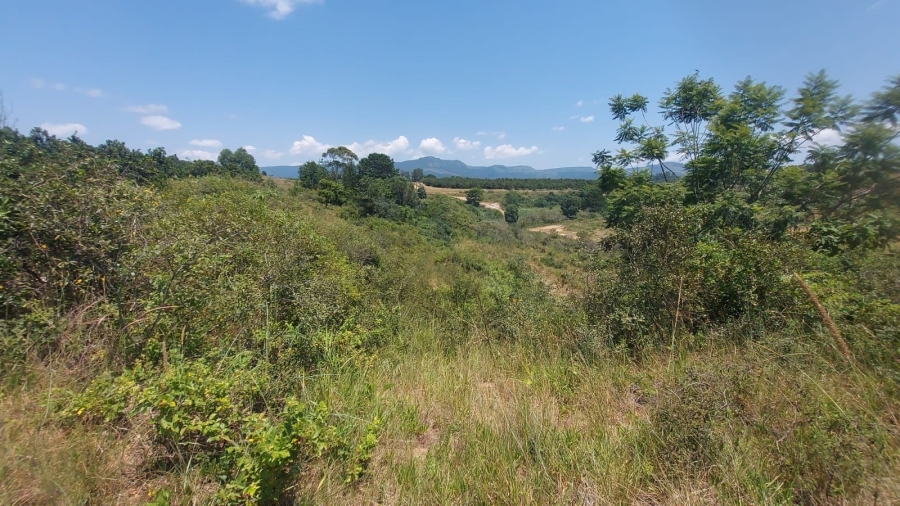 Commercial Property for Sale in Barberton Rural Mpumalanga