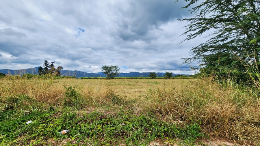 Commercial Property for Sale in Malelane Mpumalanga