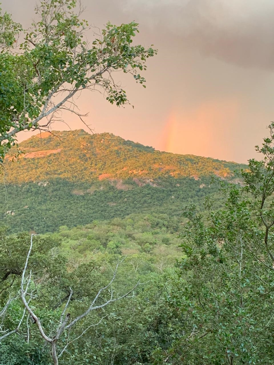 0 Bedroom Property for Sale in Renosterkop Mpumalanga