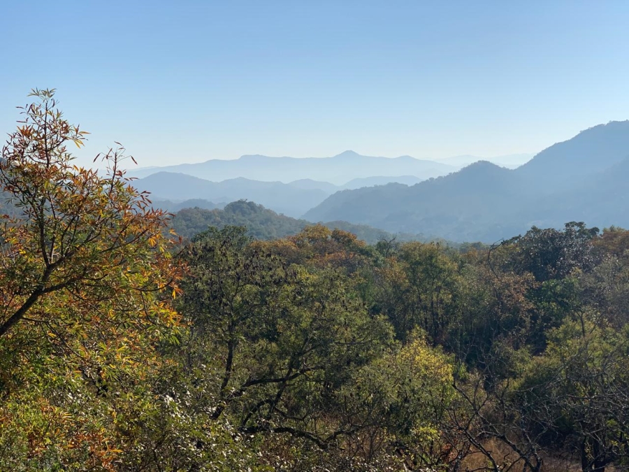 0 Bedroom Property for Sale in Renosterkop Mpumalanga