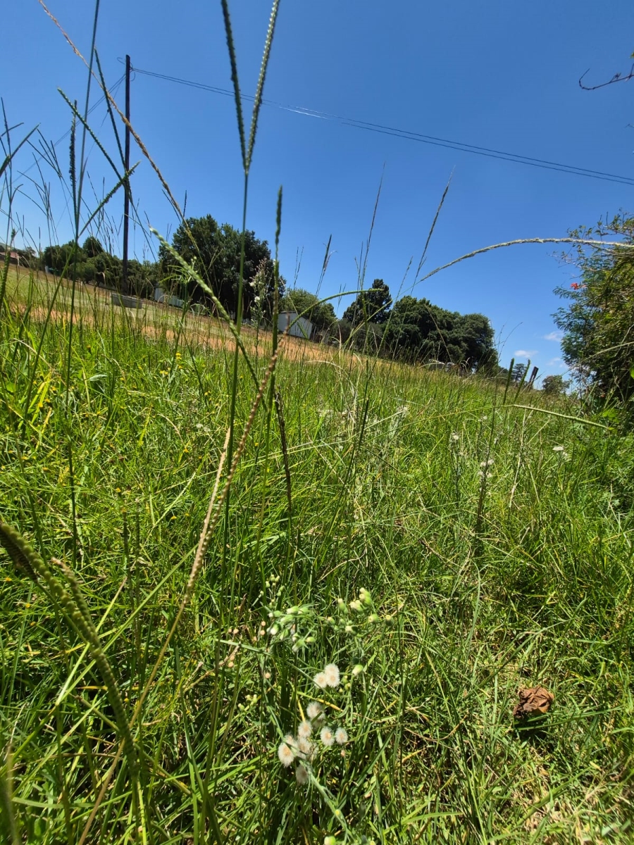 3 Bedroom Property for Sale in Amsterdam Mpumalanga