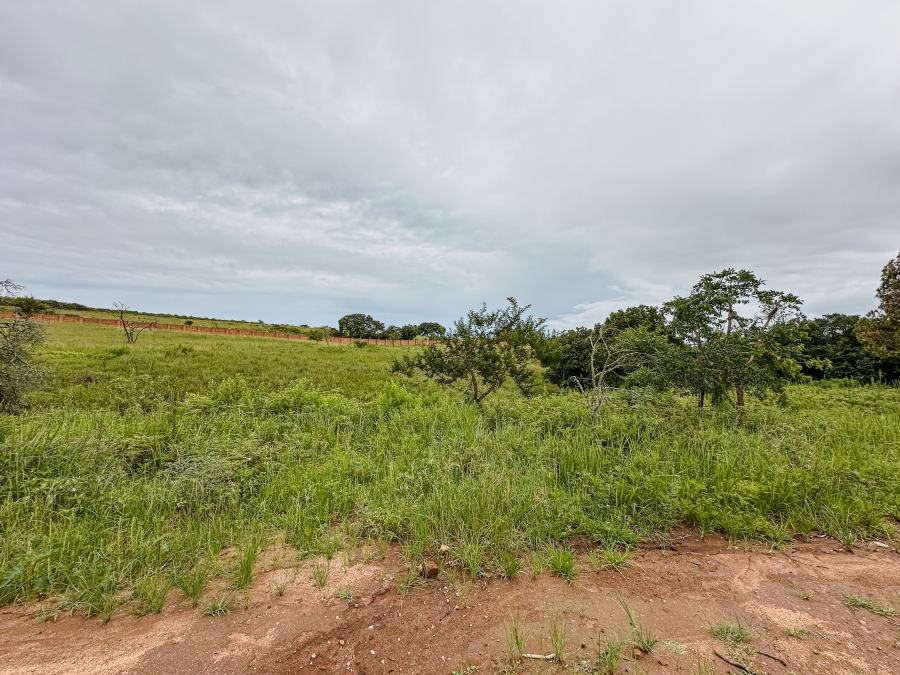4 Bedroom Property for Sale in Bateleur Estate Mpumalanga