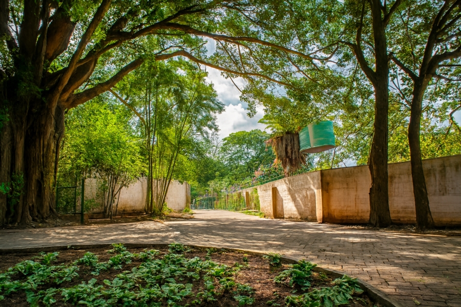 14 Bedroom Property for Sale in White River Estates Mpumalanga