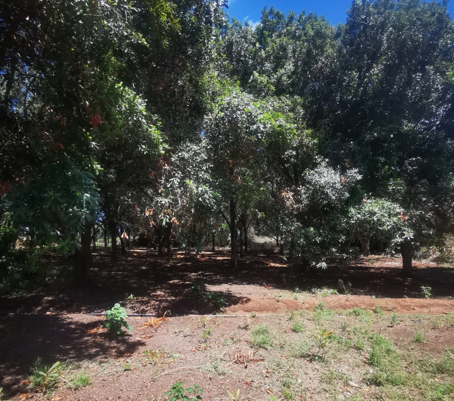 14 Bedroom Property for Sale in White River Estates Mpumalanga