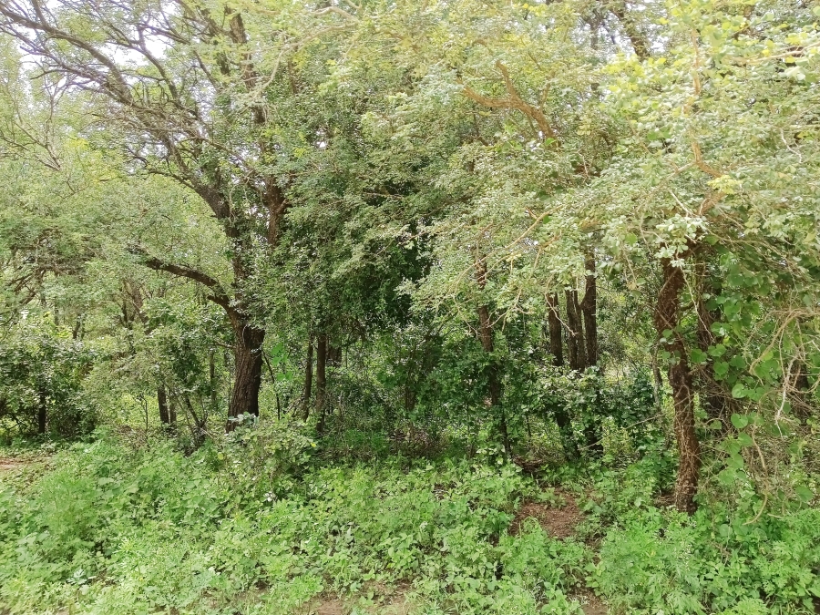 0 Bedroom Property for Sale in Marloth Park Mpumalanga