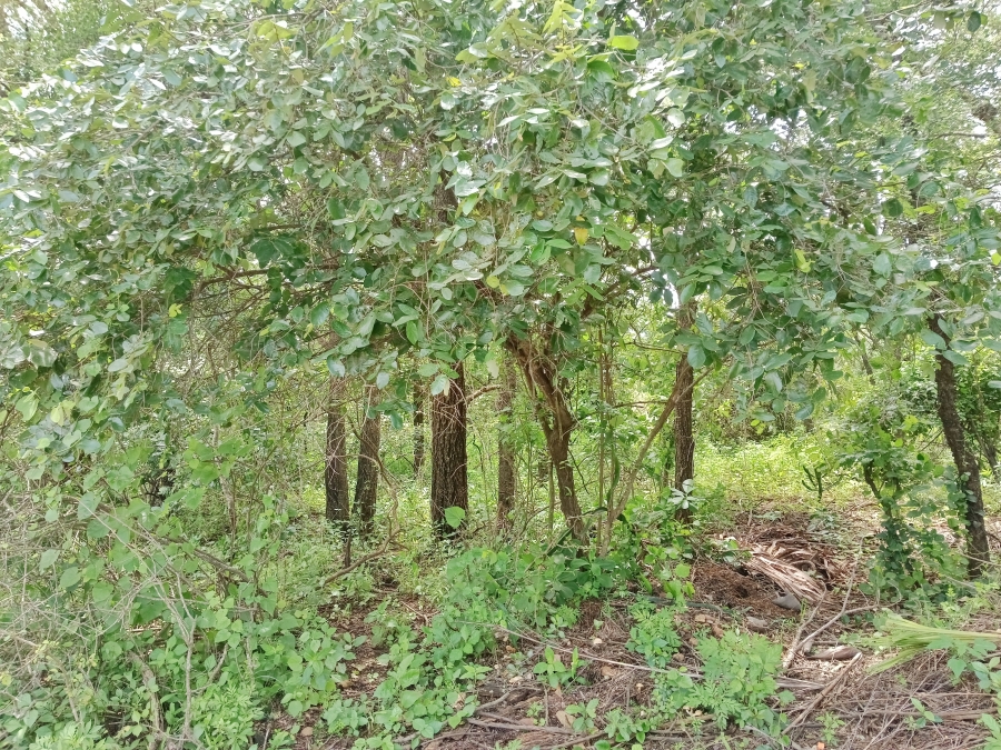 0 Bedroom Property for Sale in Marloth Park Mpumalanga