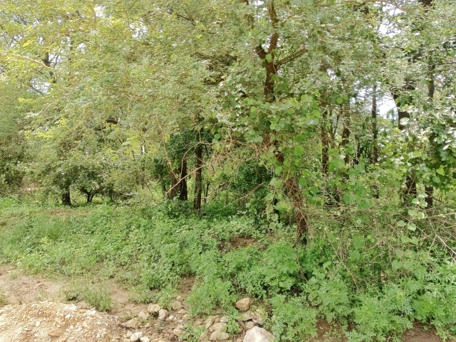 0 Bedroom Property for Sale in Marloth Park Mpumalanga