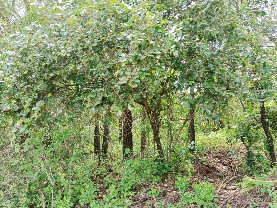 0 Bedroom Property for Sale in Marloth Park Mpumalanga