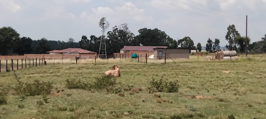 Commercial Property for Sale in Ermelo Rural Mpumalanga