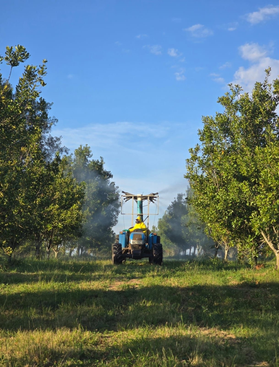 Commercial Property for Sale in White River Mpumalanga