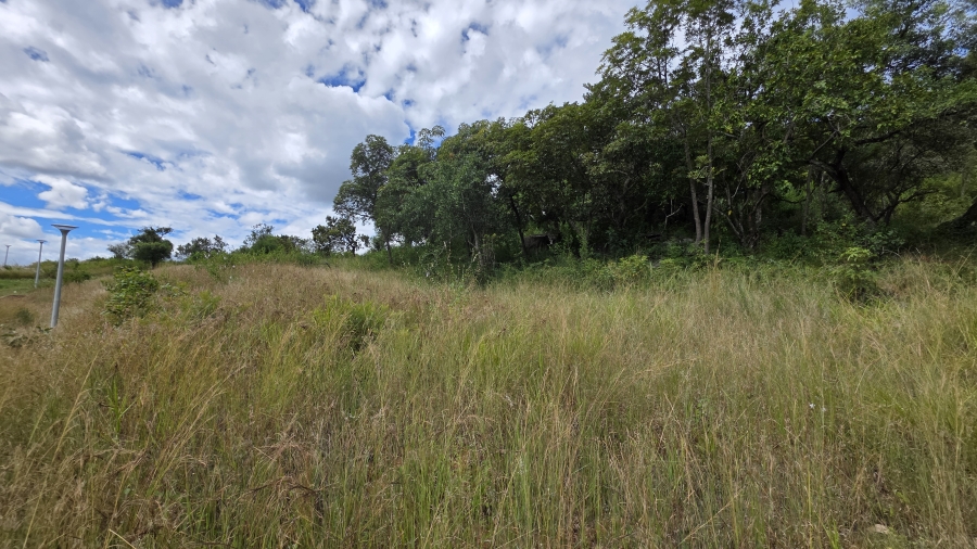 0 Bedroom Property for Sale in Drum Rock Mpumalanga