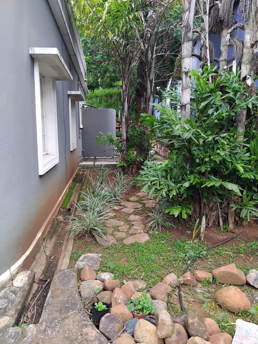 To Let commercial Property for Rent in Barberton Mpumalanga