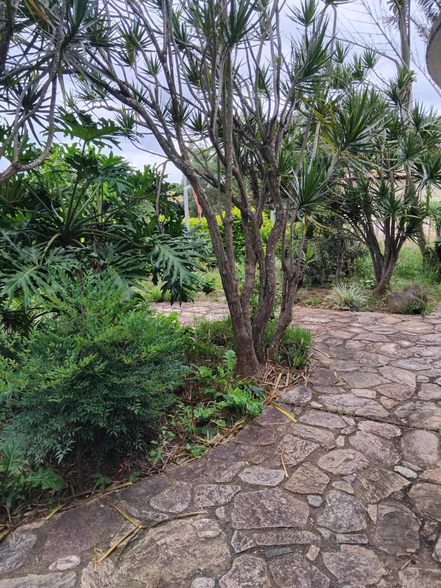 To Let commercial Property for Rent in Barberton Mpumalanga