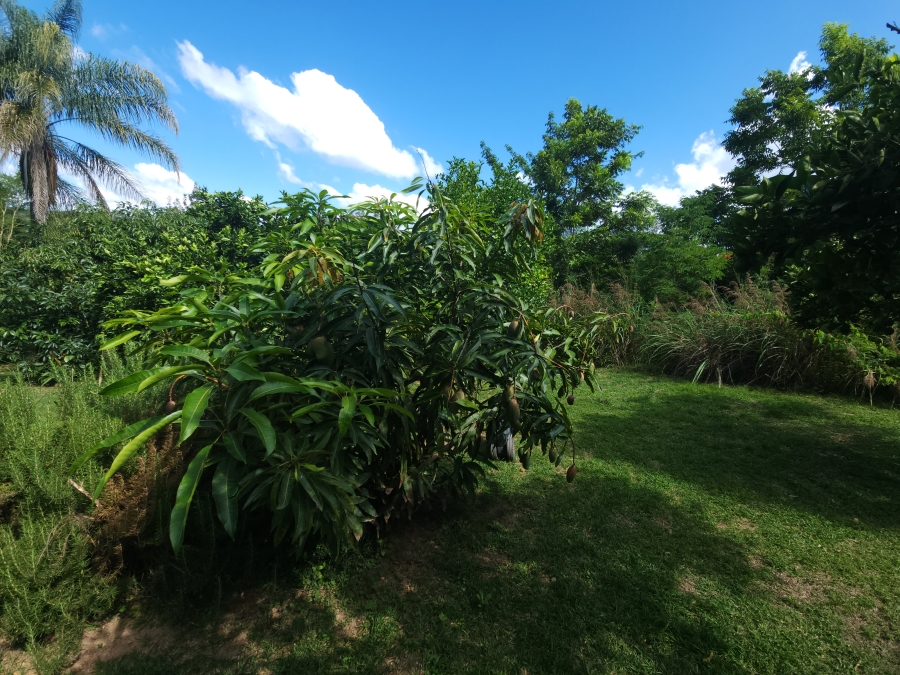 3 Bedroom Property for Sale in Nelspruit Rural Mpumalanga