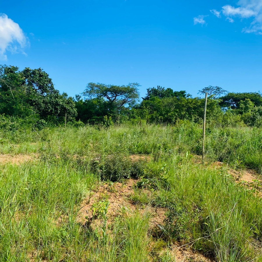 Commercial Property for Sale in Nelspruit Mpumalanga