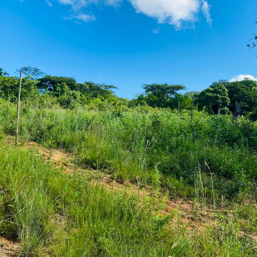 Commercial Property for Sale in Nelspruit Mpumalanga