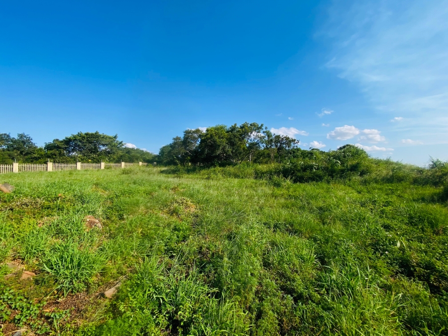 0 Bedroom Property for Sale in Drum Rock Mpumalanga