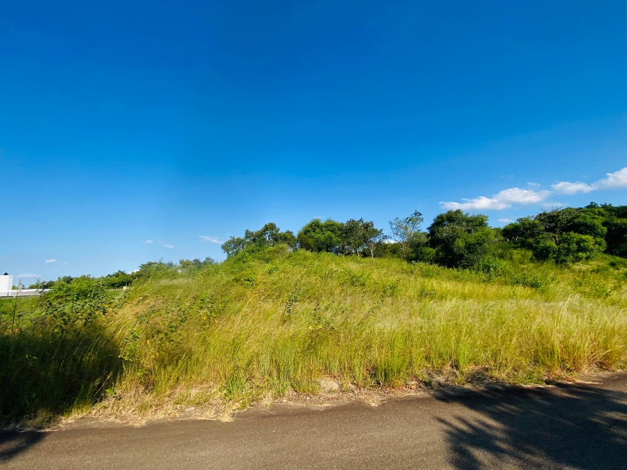 0 Bedroom Property for Sale in Drum Rock Mpumalanga