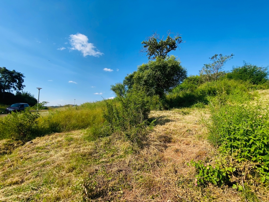 0 Bedroom Property for Sale in Drum Rock Mpumalanga