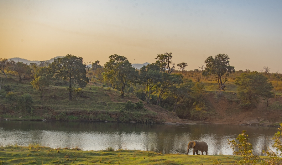 0 Bedroom Property for Sale in Malelane Mpumalanga