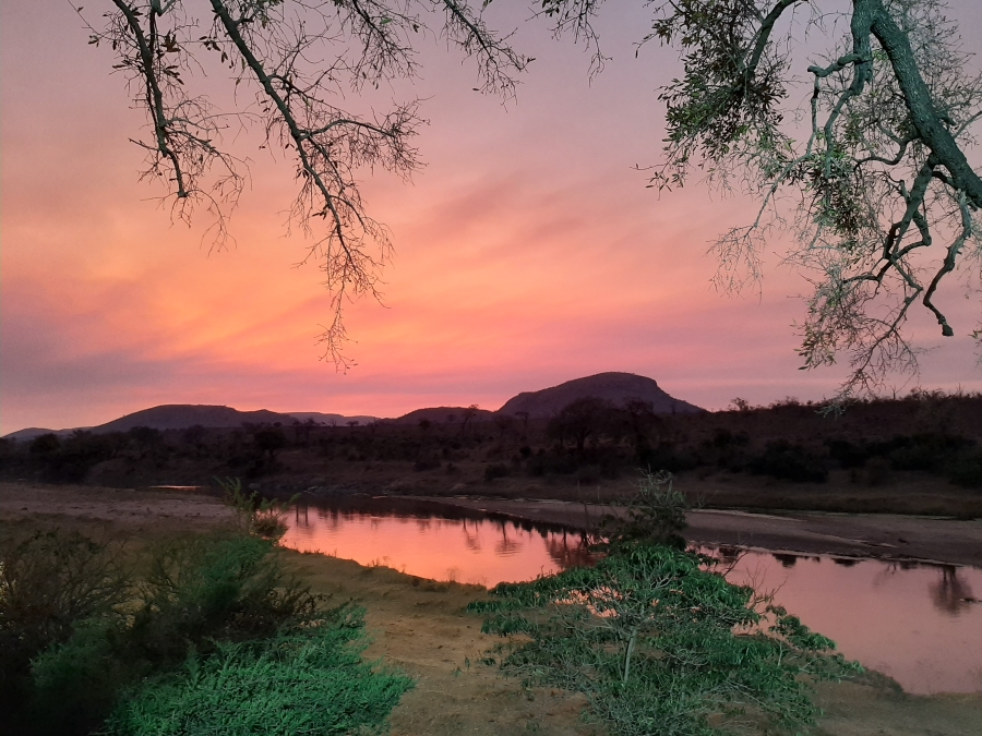 0 Bedroom Property for Sale in Malelane Mpumalanga