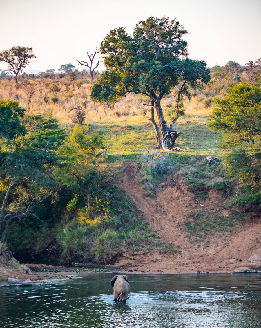 0 Bedroom Property for Sale in Malelane Rural Mpumalanga