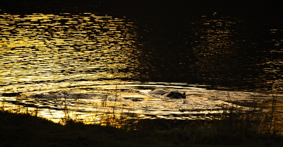 0 Bedroom Property for Sale in Malelane Rural Mpumalanga