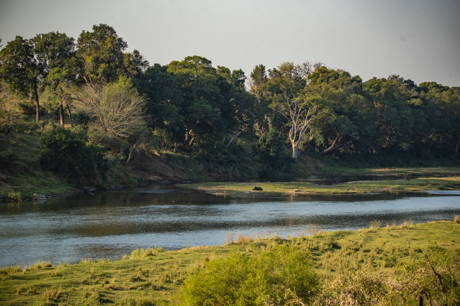 0 Bedroom Property for Sale in Malelane Rural Mpumalanga