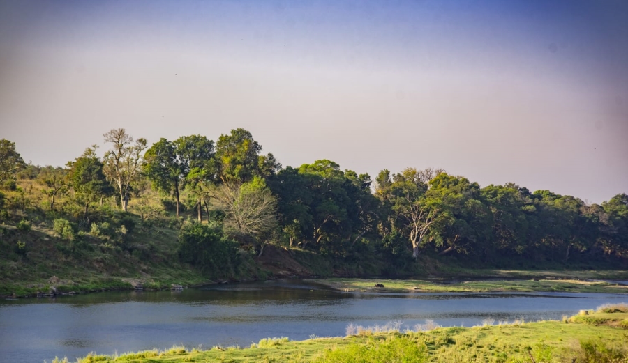 0 Bedroom Property for Sale in Malelane Rural Mpumalanga