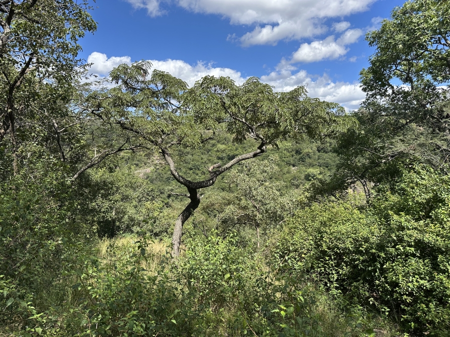 7 Bedroom Property for Sale in Alkmaar Mpumalanga