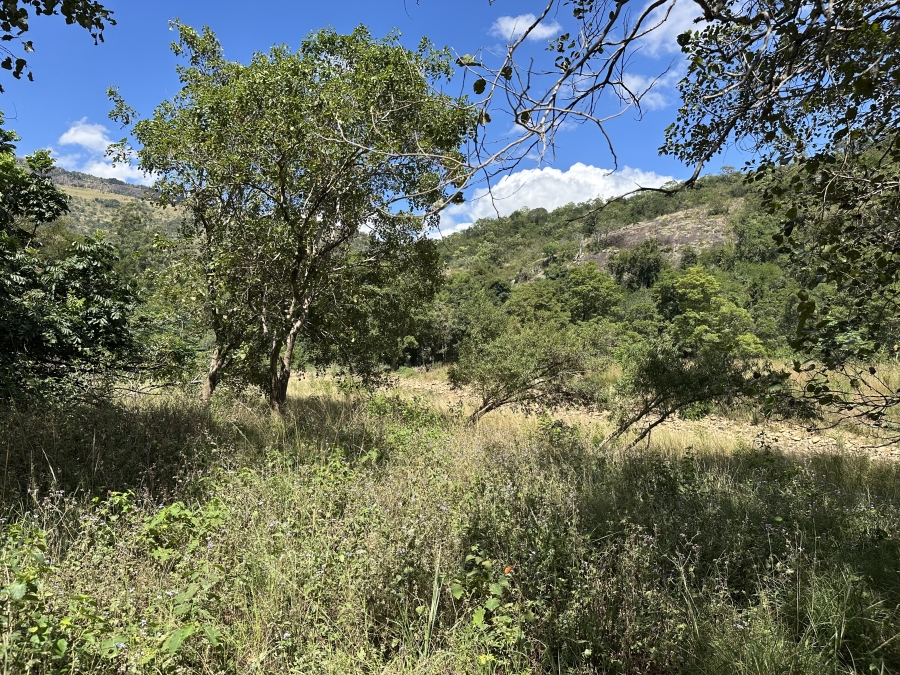 7 Bedroom Property for Sale in Alkmaar Mpumalanga