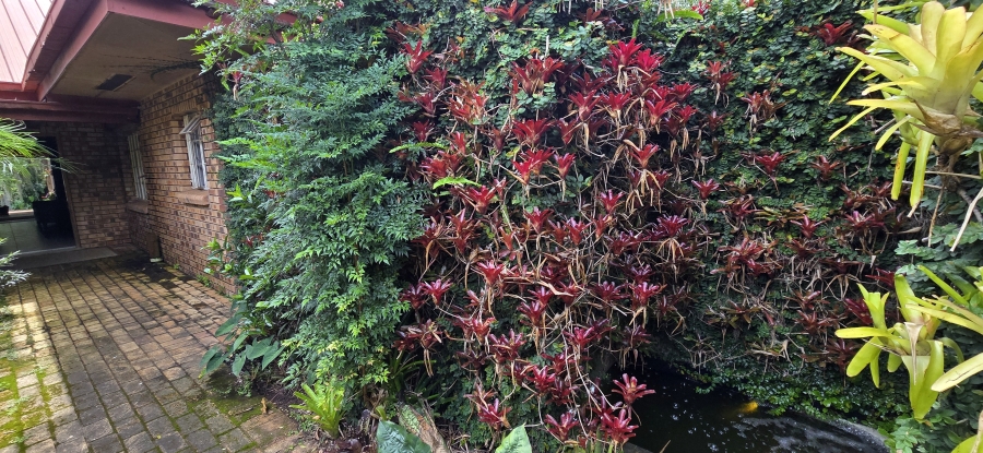 Commercial Property for Sale in White River Ext 5 Mpumalanga