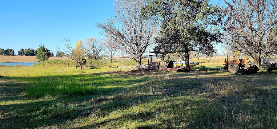 0 Bedroom Property for Sale in Naaupoort Mpumalanga