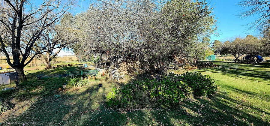 0 Bedroom Property for Sale in Naaupoort Mpumalanga