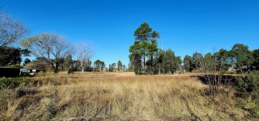 0 Bedroom Property for Sale in Naaupoort Mpumalanga