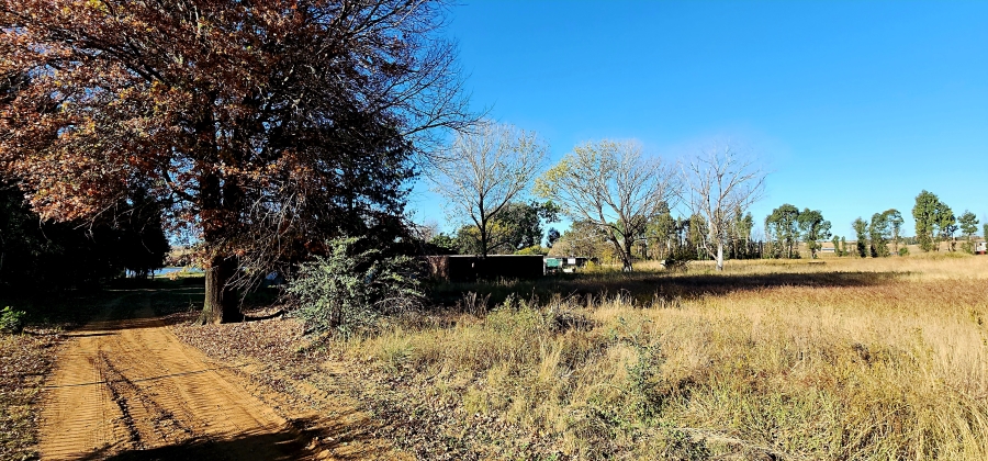 0 Bedroom Property for Sale in Naaupoort Mpumalanga