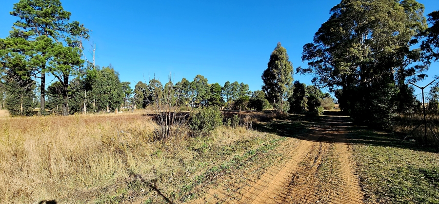 0 Bedroom Property for Sale in Naaupoort Mpumalanga