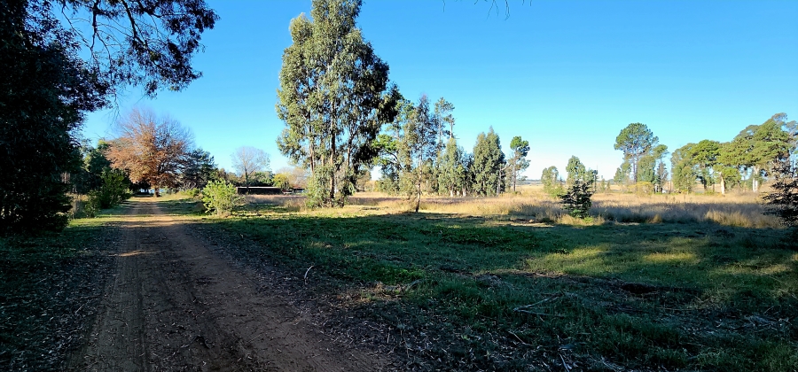 0 Bedroom Property for Sale in Naaupoort Mpumalanga