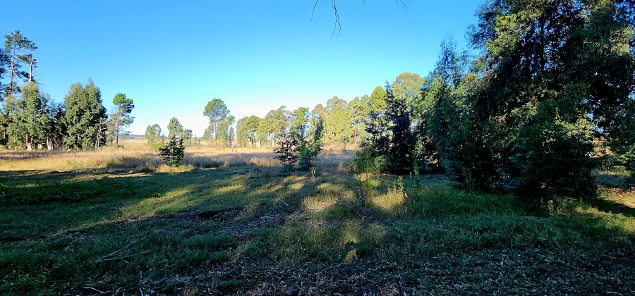 0 Bedroom Property for Sale in Naaupoort Mpumalanga